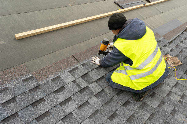 Best Metal Roofing Contractor  in Coalfield, TN