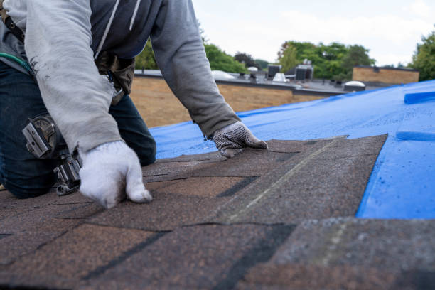 Best Affordable Roofing Company  in Coalfield, TN