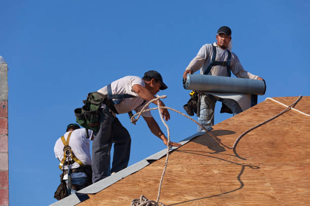 Quick and Trustworthy Emergency Roof Repair Services in Coalfield, TN
