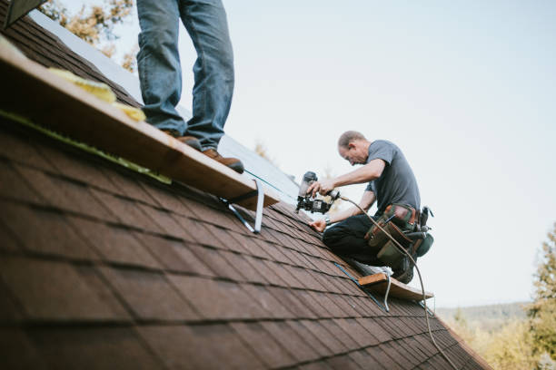 Best Flat Roof Repair Services  in Coalfield, TN