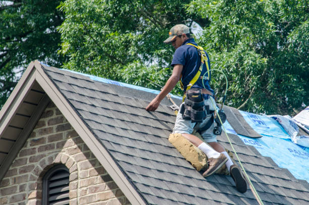 Best Residential Roofing Contractor  in Coalfield, TN